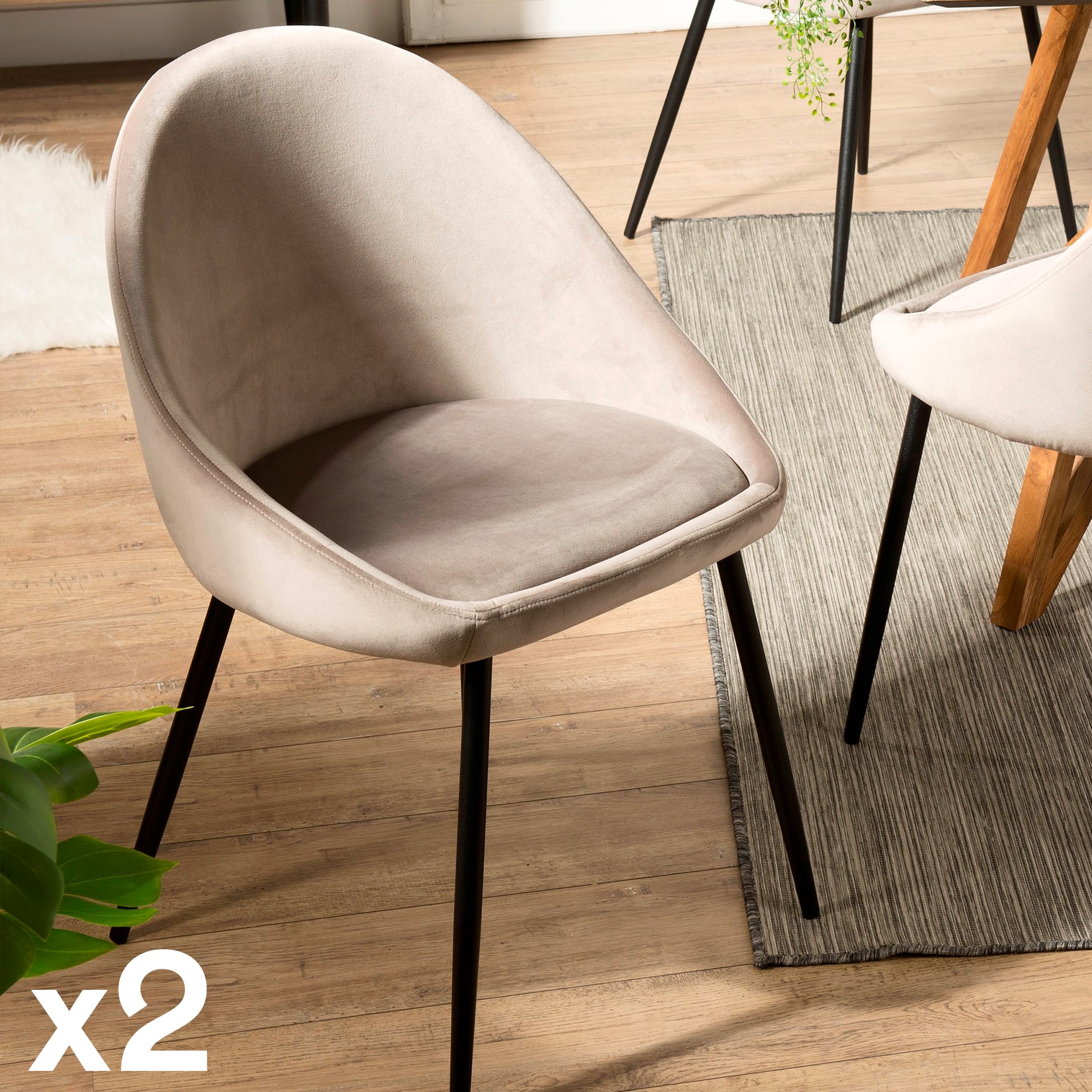 Chaise velours beige TIM (lot de 2)